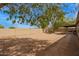 Large backyard featuring gravel, mature shade trees, block wall, and covered patio at 7019 S 19Th Pl, Phoenix, AZ 85042