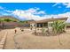 Expansive backyard featuring desert landscaping, a sparkling pool, and ample space for outdoor enjoyment at 14523 E Charter Oak Dr, Scottsdale, AZ 85259