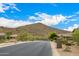 Neighborhood street view with desert landscaping and mountain backdrop at 14523 E Charter Oak Dr, Scottsdale, AZ 85259