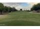 Well-manicured golf course with gently rolling green hills, mature trees, and lush surroundings at 16017 S 12Th Pl, Phoenix, AZ 85048