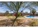Backyard featuring a clean, kidney-shaped swimming pool at 1715 S Cholla St, Mesa, AZ 85202
