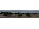 Scenic vacant land showcasing natural desert landscaping, trees, and serene surroundings ready for building a dream home at 21544 W Watkins St, Buckeye, AZ 85326