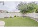Green backyard with a tree and artificial turf bordered by a white block fence and a stone trim at 4067 S White Dr, Chandler, AZ 85249