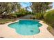Sparkling kidney-shaped pool surrounded by lush greenery, mature trees, and a white concrete pool deck at 7307 N 17Th Ave, Phoenix, AZ 85021