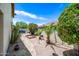 Landscaped backyard featuring gravel, plants, palm trees, and a brick pathway to a garden at 7342 E Norwood St, Mesa, AZ 85207