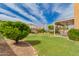 Lush backyard featuring manicured lawn, mature trees, and a covered patio for outdoor enjoyment at 7460 E Kiowa Ave, Mesa, AZ 85209