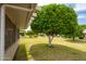 Well-manicured lawn with beautiful mature trees bordering a patio at 13055 W Tangelo Dr, Sun City West, AZ 85375