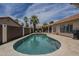 Sparkling pool with lush landscaping and sunny patio with BBQ at 1461 W Tara Dr, Gilbert, AZ 85233