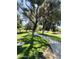 Scenic community walking path lined with mature trees and lush green grass providing a serene outdoor experience at 14617 S 35Th Pl, Phoenix, AZ 85044