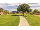 Scenic park view showcasing lush green grass, walking path, and a playground under a blue shade at 16206 W Cocopah St, Goodyear, AZ 85338