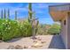 Contemporary desert home with native landscaping, blending modern design with the natural beauty of Arizona at 1702 E Staghorn Ln, Carefree, AZ 85377