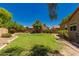 Spacious backyard featuring lush green grass, mature trees, and well-maintained landscaping at 1811 S Brentwood Pl, Chandler, AZ 85286