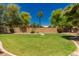 Expansive backyard with well-maintained lawn, mature trees, and privacy wall at 1811 S Brentwood Pl, Chandler, AZ 85286