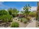 Expansive landscaped backyard featuring lush greenery, patio, and outdoor furniture for relaxing and entertaining guests at 18653 W Mescal St, Surprise, AZ 85388