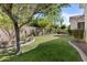 Lush green backyard featuring manicured lawn, landscaping beds and mature shade trees at 211 W New Dawn Dr, Chandler, AZ 85248