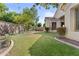 Grassy backyard showcases mature landscaping, manicured lawn, and partial shade on a sunny day at 211 W New Dawn Dr, Chandler, AZ 85248