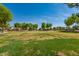 Expansive community park features mature trees and green space for outdoor activities at 4771 E Meadow Land Dr, San Tan Valley, AZ 85140