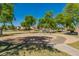 Community playground area features a climbing structure, mature trees, and inviting landscape at 4771 E Meadow Land Dr, San Tan Valley, AZ 85140