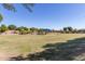 Community playground with play structure in a grassy park at 4771 E Meadow Land Dr, San Tan Valley, AZ 85140