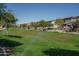 Scenic community greenbelt with lush landscaping, mature trees, and a sprinkler system for maintaining the natural beauty at 1057 S 151St Ln, Goodyear, AZ 85338