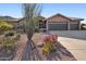 Single-story home featuring desert landscaping and a spacious driveway at 11255 S San Adrian Ln, Goodyear, AZ 85338