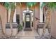 Elegant front entrance with decorative columns and palm trees at 11255 S San Adrian Ln, Goodyear, AZ 85338