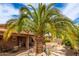 Beautiful backyard featuring palm trees, desert landscaping, covered patios, and multiple seating areas at 1173 E Daisy Way, San Tan Valley, AZ 85143