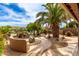 Spacious backyard featuring desert landscaping, a stone pathway, a built-in seating area and palm trees at 1173 E Daisy Way, San Tan Valley, AZ 85143