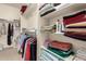 Walk-in closet with shelving, hanging racks, and ample space for storage and organization at 1173 E Daisy Way, San Tan Valley, AZ 85143