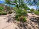 Landscaped walkway with desert flora, including cactus, palms, and flowering plants, leading to the pool and spa at 2233 E Behrend Dr # 203, Phoenix, AZ 85024