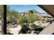 Scenic view from patio showing desert landscaping, palm trees, and distant mountain at 2233 E Behrend Dr # 203, Phoenix, AZ 85024