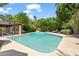 Beautiful pool with a covered patio area nearby and several lounge chairs for enjoying the surrounding backyard at 31 W Marlette Ave, Phoenix, AZ 85013