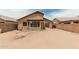 View of the backyard, including a patio and block wall, desert landscaping and string lights at 3703 S 73Rd Dr, Phoenix, AZ 85043