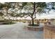 Gather around the tree next to the lake for a peaceful time. Fishing permits required at 3773 E Stampede Dr, Gilbert, AZ 85297