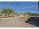 Expansive backyard boasts gravel landscaping and a fully fenced yard, providing privacy and security at 5096 S 245Th Dr, Buckeye, AZ 85326