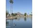 Daytime view of the lake with a duck swimming, mountain views, and palm trees along the shore at 5154 N 83Rd St, Scottsdale, AZ 85250