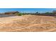 Spacious vacant lot surrounded by block fencing showing ground with tire tracks and distant homes at 5321 N 196Th Ave, Litchfield Park, AZ 85340