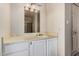 The bathroom features a vanity with cabinet storage and a large mirror with light fixture at 845 N Oak Ct, Chandler, AZ 85226