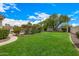 Lush green backyard with mature trees and manicured landscaping at 8603 E Aster Dr, Scottsdale, AZ 85260