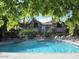 Sparkling community pool offering a refreshing escape, surrounded by lush greenery and lounge seating at 9600 N 96Th St # 263, Scottsdale, AZ 85258