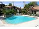 Inviting community pool with lounge chairs, lush landscaping, and inviting blue water at 9600 N 96Th St # 263, Scottsdale, AZ 85258