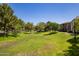 Expansive green space in community featuring mature trees, grassy areas, and scenic views, great for relaxation at 1086 S Nancy Ln, Gilbert, AZ 85296