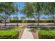 Inviting street view framed by lush green trees, well-manicured bushes, and a smooth sidewalk at 1086 S Nancy Ln, Gilbert, AZ 85296