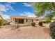 Spacious backyard with a covered patio, gravel landscaping, and blooming plants at 24907 S Lakestar Dr, Sun Lakes, AZ 85248