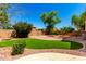 Landscaped backyard featuring artificial grass, rock beds, and mature shade trees offers a serene outdoor retreat at 2648 E Teakwood Pl, Chandler, AZ 85249