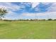 Expansive green space featuring a grassy field, perfect for outdoor activities and community events at 30963 W Columbus Ave, Buckeye, AZ 85396
