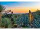 Sunset view of the Arizona desert landscape featuring cacti, native plants, and a unique modern art sculpture at 39032 N 101St Way, Scottsdale, AZ 85262