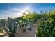 Beautiful desert garden featuring a variety of cacti, agave, and lush greenery at 39032 N 101St Way, Scottsdale, AZ 85262