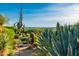 Stunning desert landscape with cacti, agave, and mountain views in the distance at 39032 N 101St Way, Scottsdale, AZ 85262