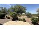 Desert landscaping, pavers and view fence in the backyard at 5420 S Mariposa Dr, Gilbert, AZ 85298